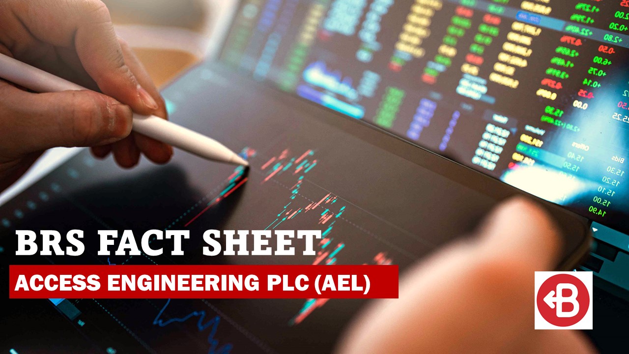 BRS Factsheet - AEL 9M FY24