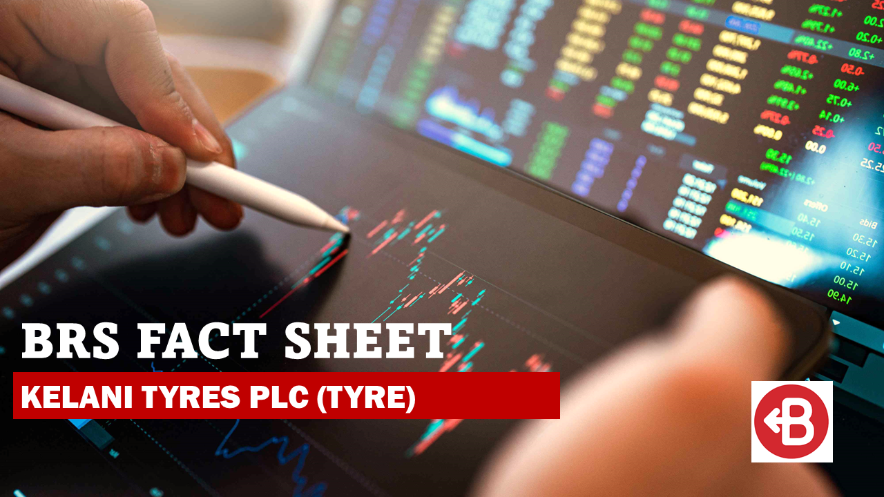 BRS Factsheet - TYRE 9M FY24