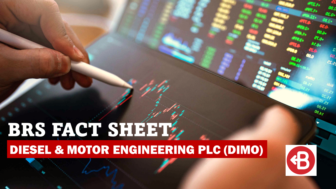 BRS Factsheet - DIMO FY24