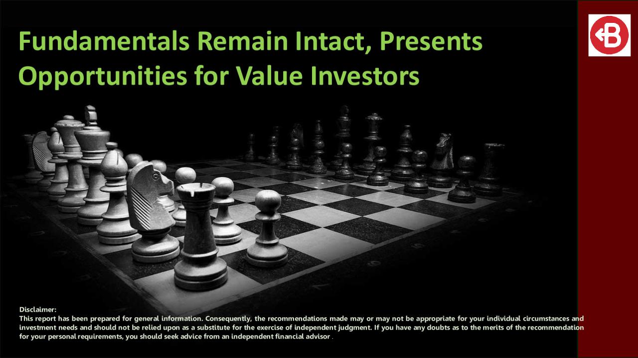 Fundamentals Remain Intact, Presents Opportunities for Value Investors