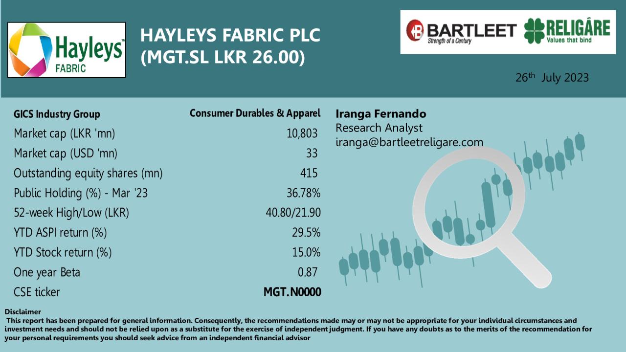 Company Information Note - HAYLEYS FABRIC PLC Infograph